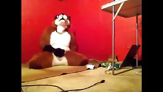 3138 gay anal porn videos